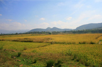Araku Valley 
