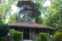 Aranya - Gorumara Jungle Resort - Angled View