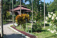 Aranya - Gorumara Jungle Resort - Side view with Pool