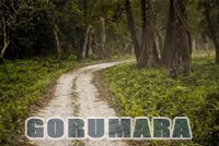 Gorumara, Lataguri