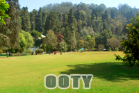 Ooty