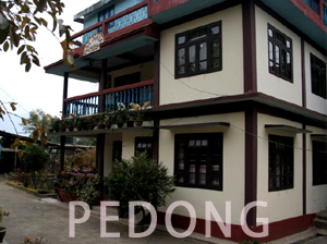 Pedong
